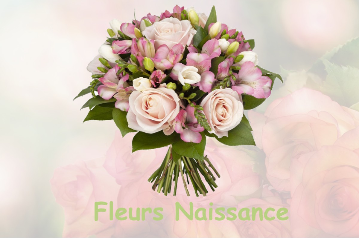 fleurs naissance FRESNE-SAINT-MAMES